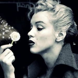 Meet your Posher, Krista